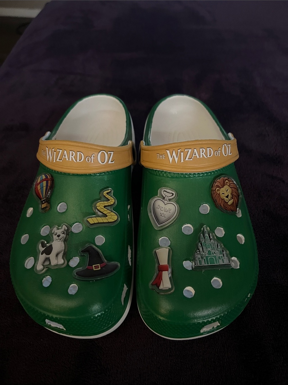 The Wizard of Oz Women’s Green Clog Shoes